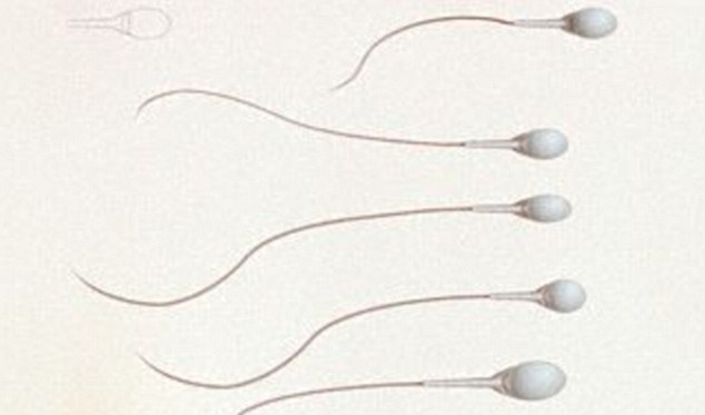First Male Contraceptive Injection Could Be Available in THREE Years