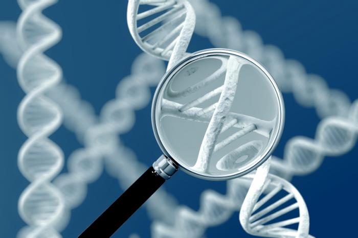 12 New Discovered Genetic Causes for Rare Developmental Disorders 
