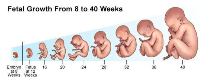 懷孕十月，每個月有不同胎教法！
