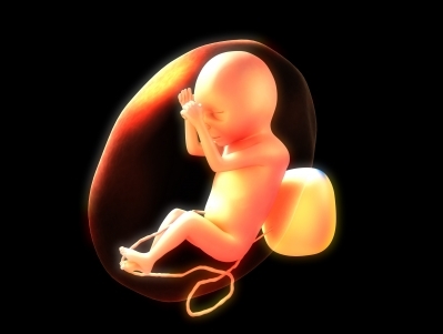 胎兒在子宮內已有記憶