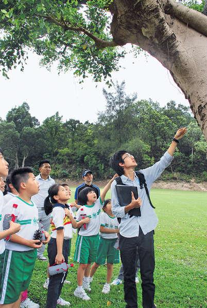 小學生賞樹 探索自然妙趣