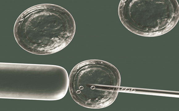 羊水含DNA物質助胚胎發展 人工受孕嬰兒含母體基因