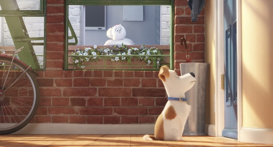  “The Secret Life of Pets” Opens on June 30！