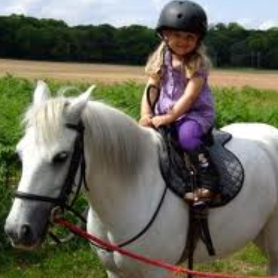 3歲童騎馬學獨立  兒童班受歡迎 輪候者逾千