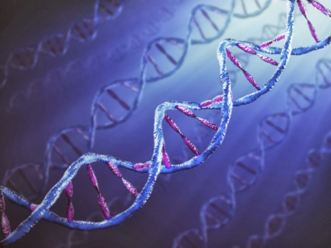 重編DNA 將終止因基因變異引致疾病